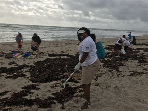 Get paid to clean up florida. Things To Know About Get paid to clean up florida. 